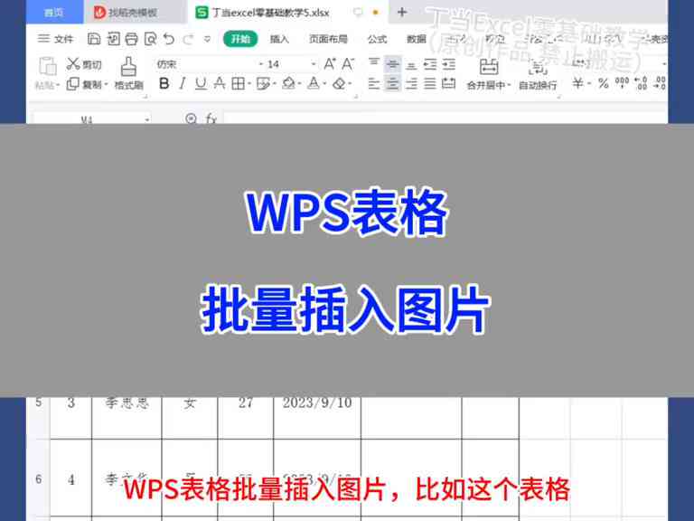 WPS分析：这些标题中的关键信息整合与核心要点提炼