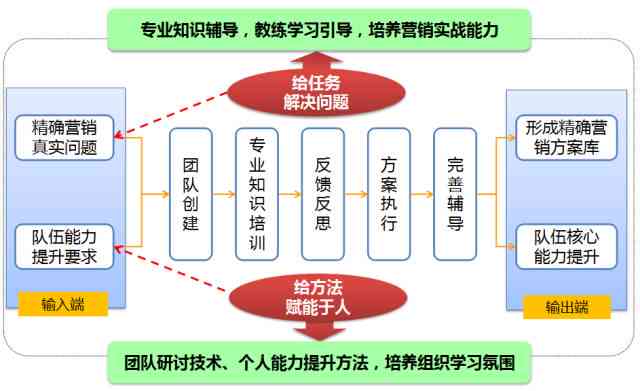 精选营销策划方案：全方位制作指南与实战案例