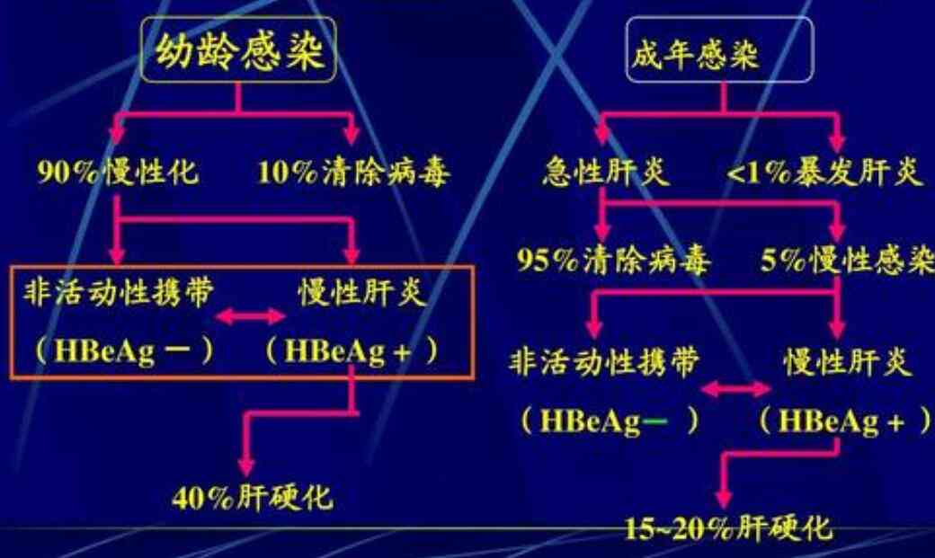 深入了解慢回弹特性：全方位解析其优势与应用场景