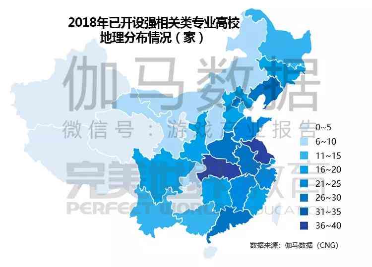 人才报告怎么写：800字模板与深度分析