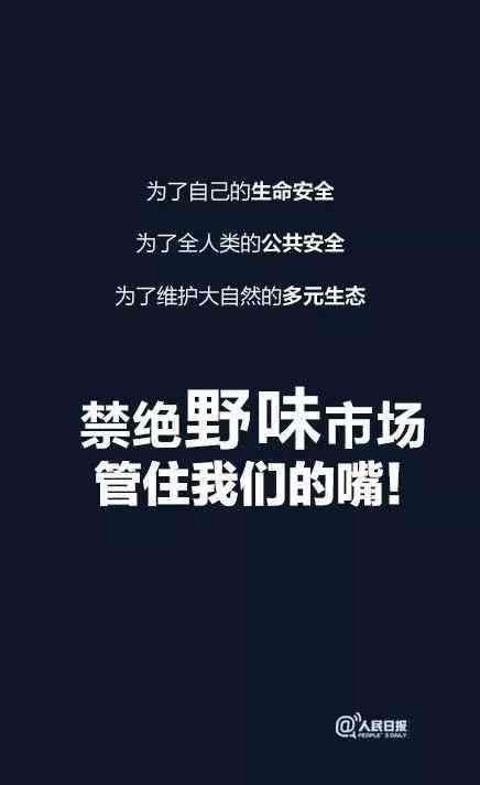 捕捉个人瞬间：你的独特魅力写真文案，记录永恒美好的短句与朋友说说