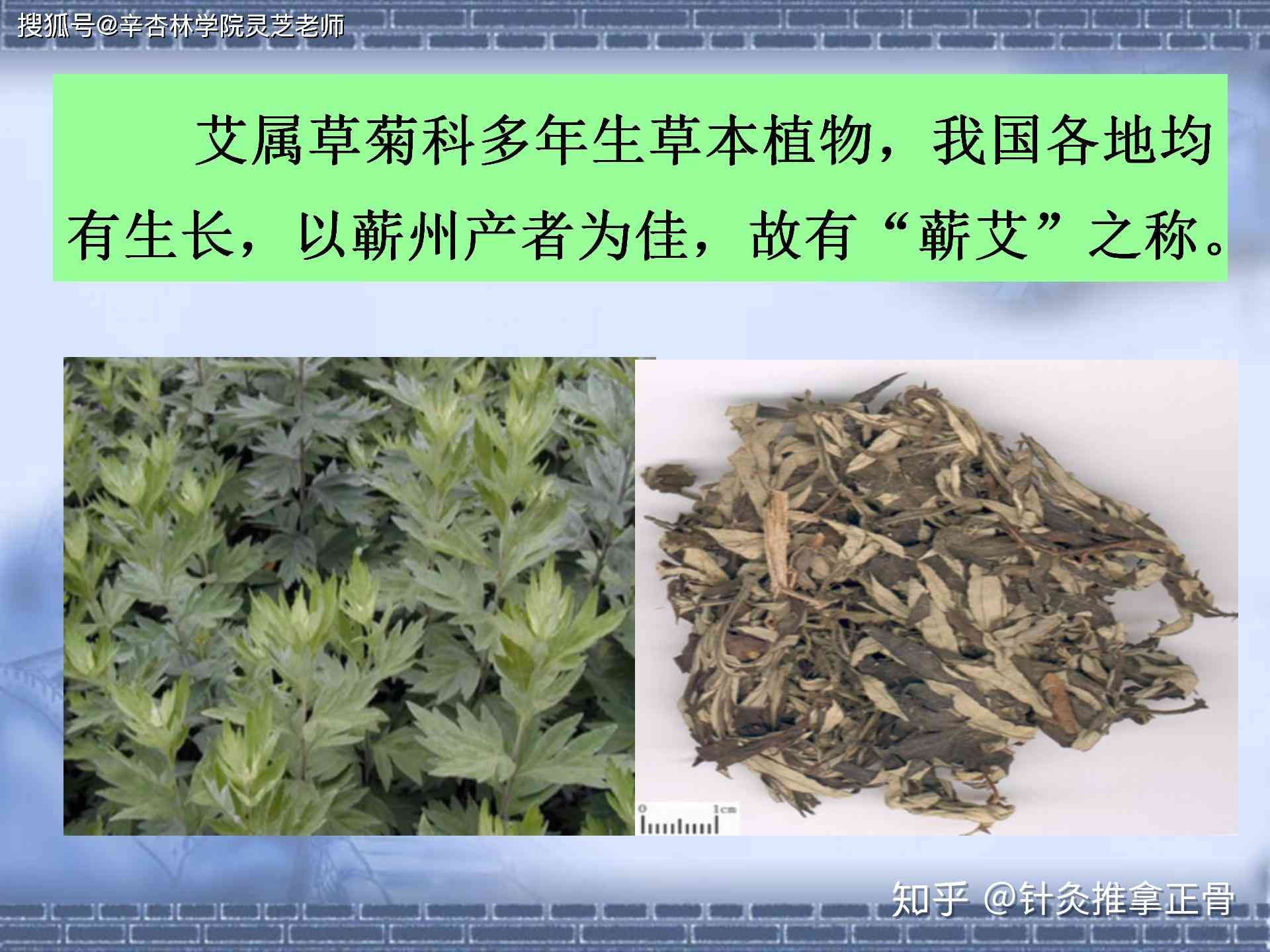 为什么要用AI选择灸与草：灸优势及草应用探究