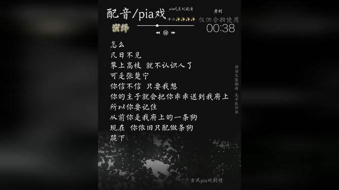 寻找适合我们的声音：一个精选的配音短句文案台词集锦