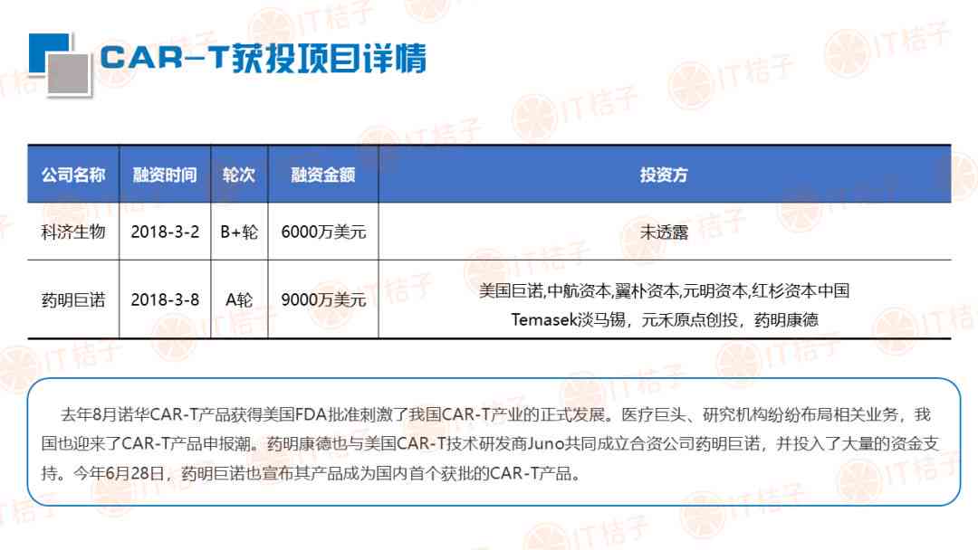 ie年总结报告：个人与IT、IQc、UI部门总结及来年计划