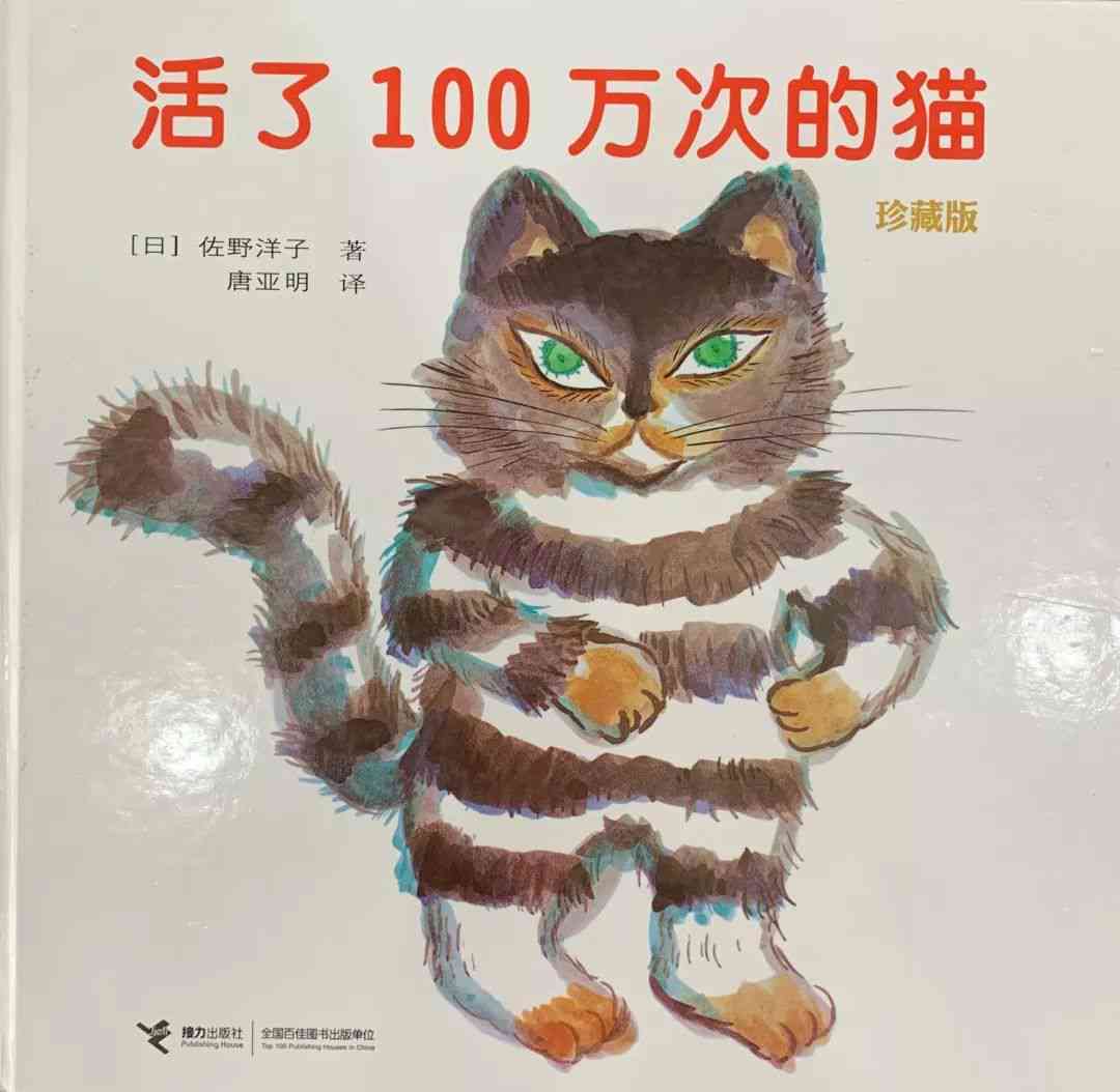 猫的传奇：狸猫与花猫的故事集锦