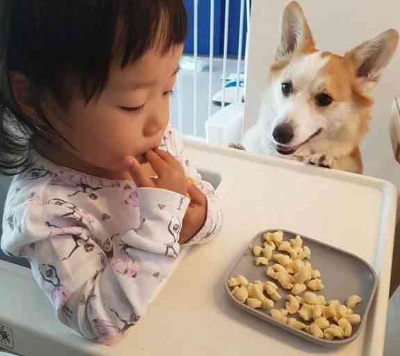 宝吃面：孩子看着朋友分享的幽默句子，文案中宝宝的美食时刻