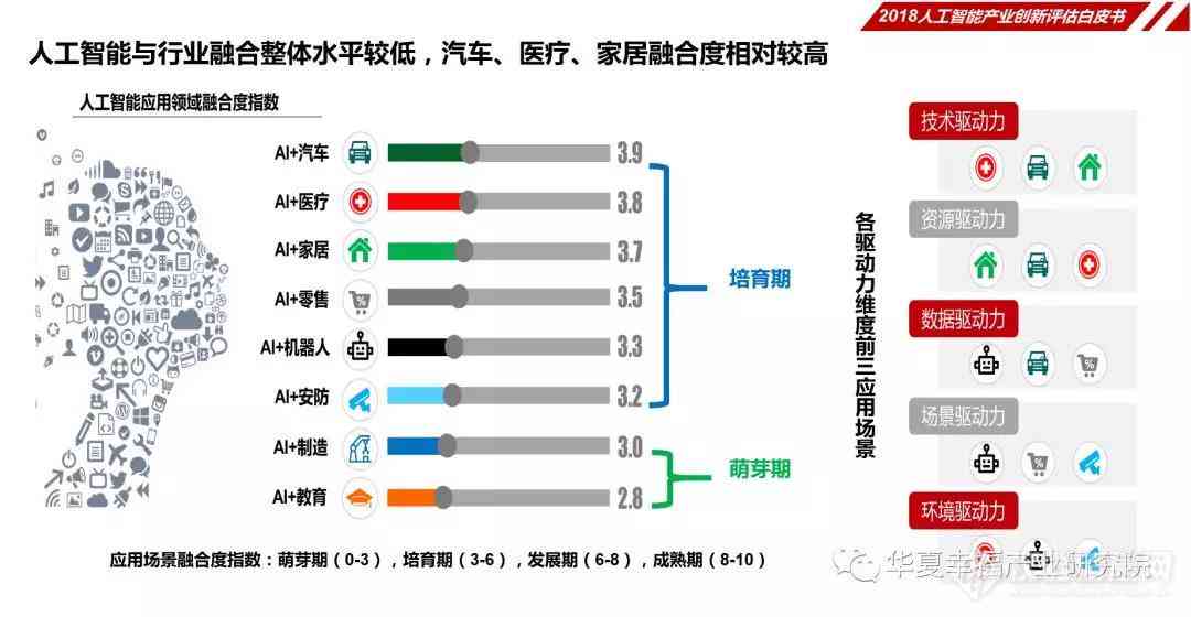 中国人工智能行业报告：数字生成与虚拟人工合成数据深度解析