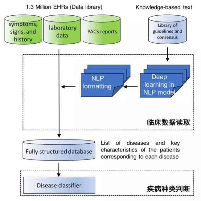 人工智能辅助医疗诊断系统案例的开发与流程解析