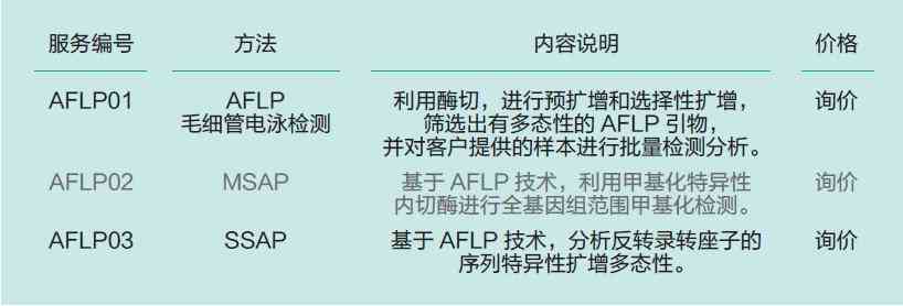 全面解析：AL检测报告综合评估与详细分析指南