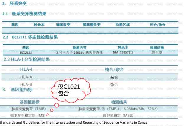 全面解析：AL检测报告综合评估与详细分析指南