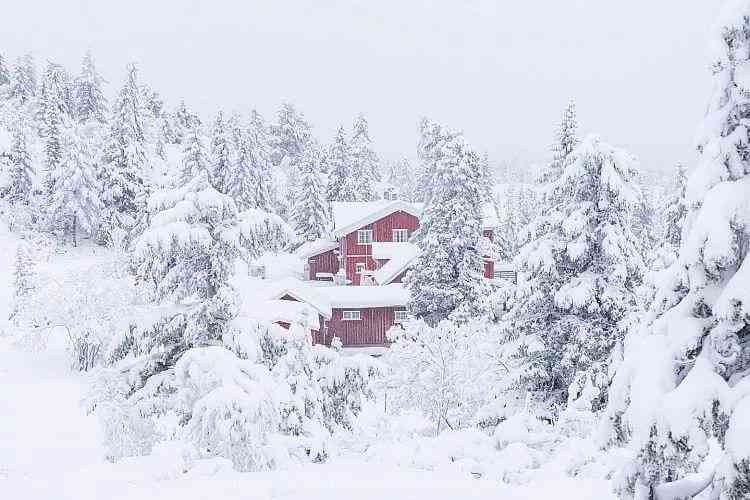 冬雪景美图欣与文案创意汇编：全方位指南解析雪景摄影、描写与情感表达