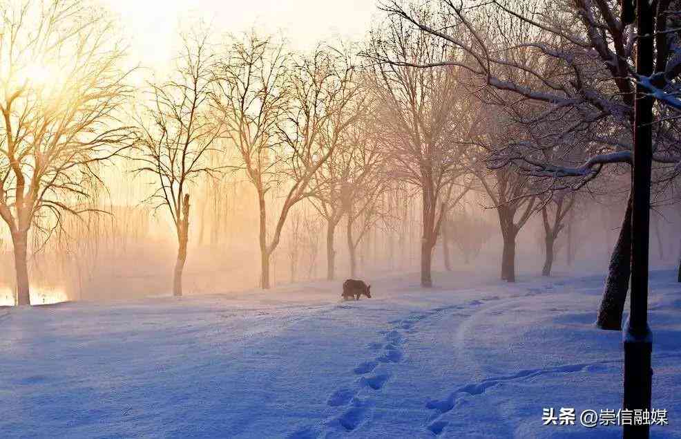 冬雪景美图欣与文案创意汇编：全方位指南解析雪景摄影、描写与情感表达