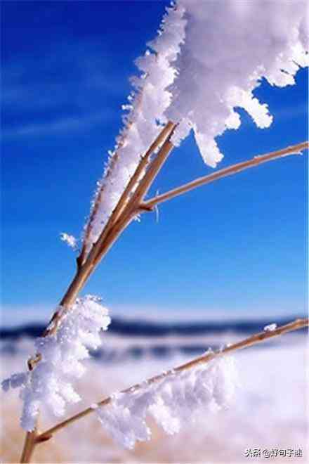 雪景文案短句：干净治愈、简短柔、简单治愈