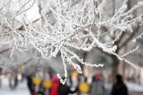 一句简短雪景句子，分享给朋友共下雪文案的美好