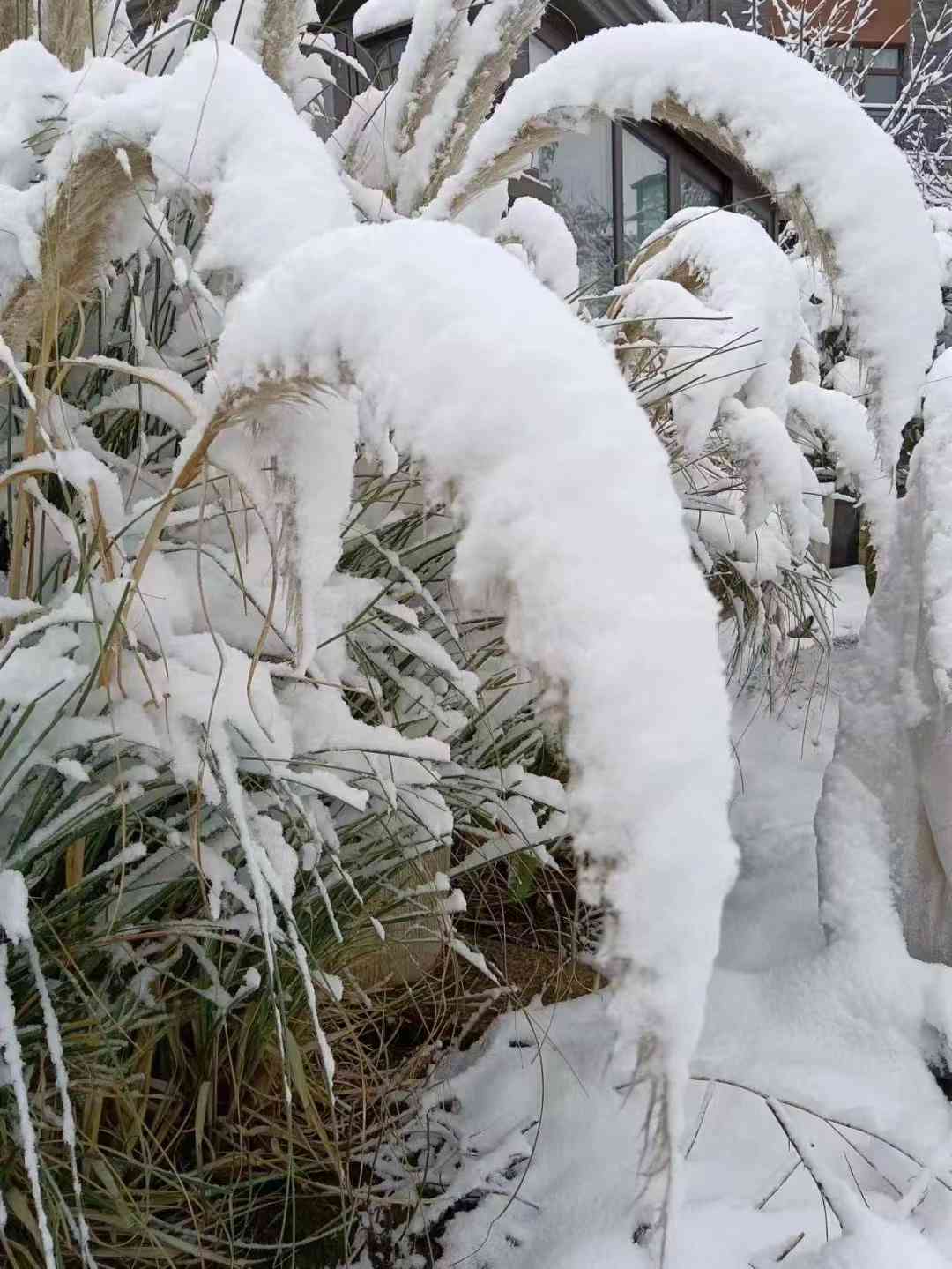 一句简短雪景句子，分享给朋友共下雪文案的美好