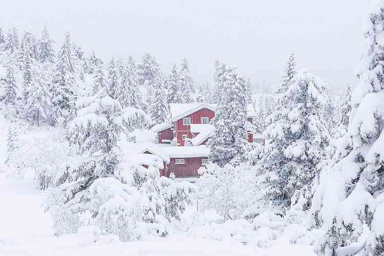 冬雪景唯美文案汇编：全面覆雪景抒情、摄影、装饰与情感表达