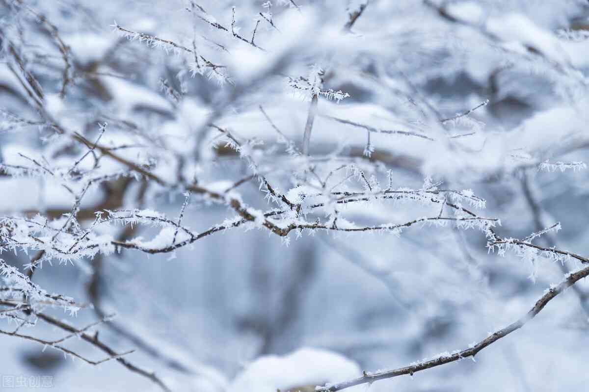 冬雪景唯美文案汇编：全面覆雪景抒情、摄影、装饰与情感表达