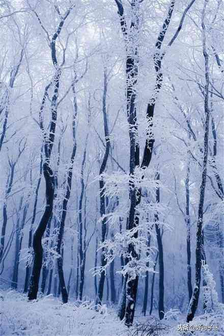 雪景软文：唯美文案短句，干净治愈，一句简短雪景文案