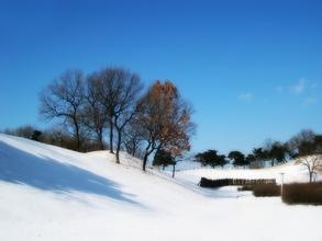 雪景ai文案