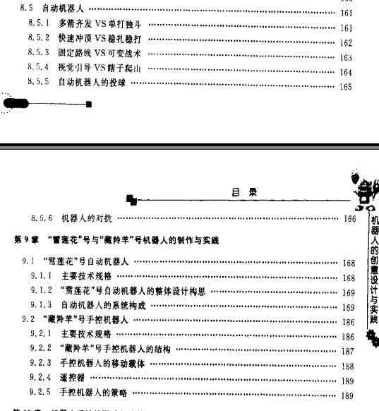 机器人作品创意：100字说明、300字研究报告及简短说明