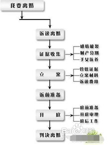 全方位解析：制作豆包所需的所有材料和详细步骤