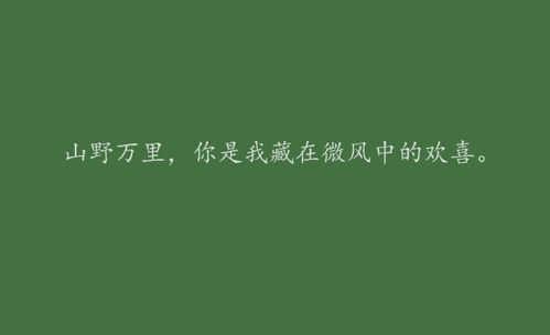 精选干净简洁的爱情文案短句集锦，全面覆情感表达需求