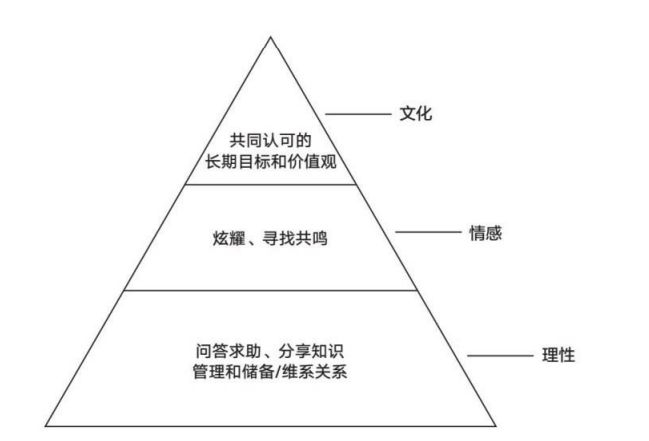 社交圈构建指南：从零开始创建、管理与扩展你的社交网络