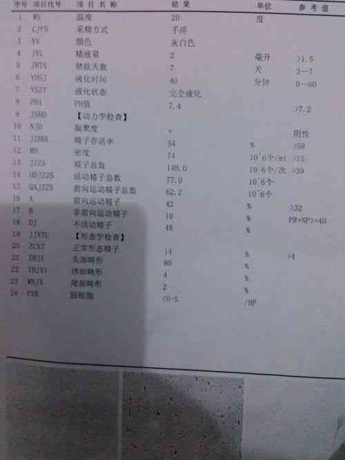 详尽诊断报告单：全面检查结果与专业诊断分析