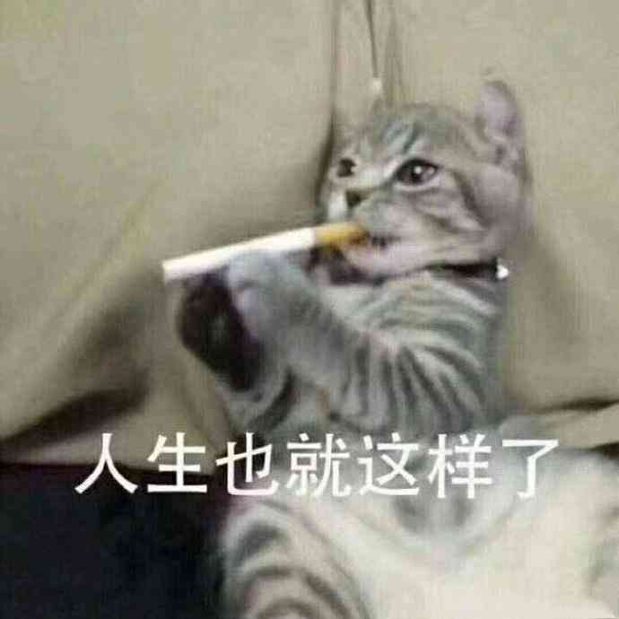 搞笑朋友专属：沙雕文案大     