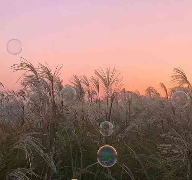 暖一步，都是朋友：治愈人心的干净文案短句