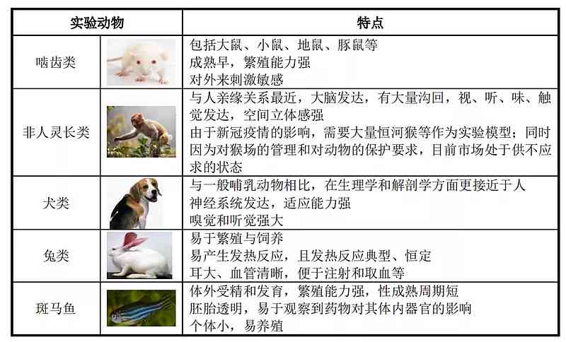 nn动物模型实验设计：综合方案与报告撰写原则