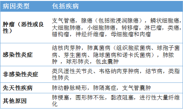 全方位AI辅助检测：肺结节良恶性精准鉴别与高效报告生成系统