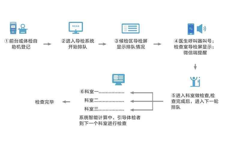 智能体检报告深度解读与分析