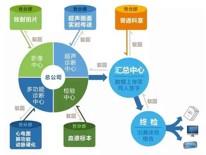 智能体检报告深度解读与分析