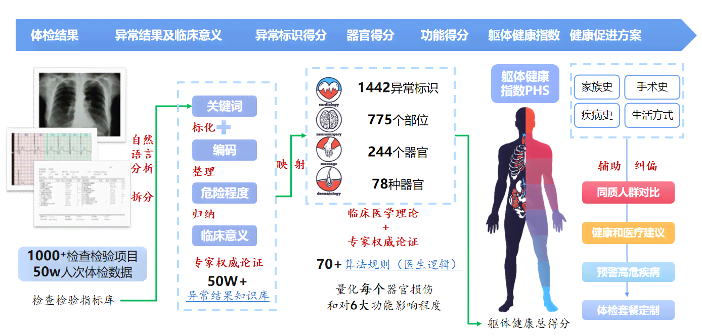 智能体检报告深度解读与分析