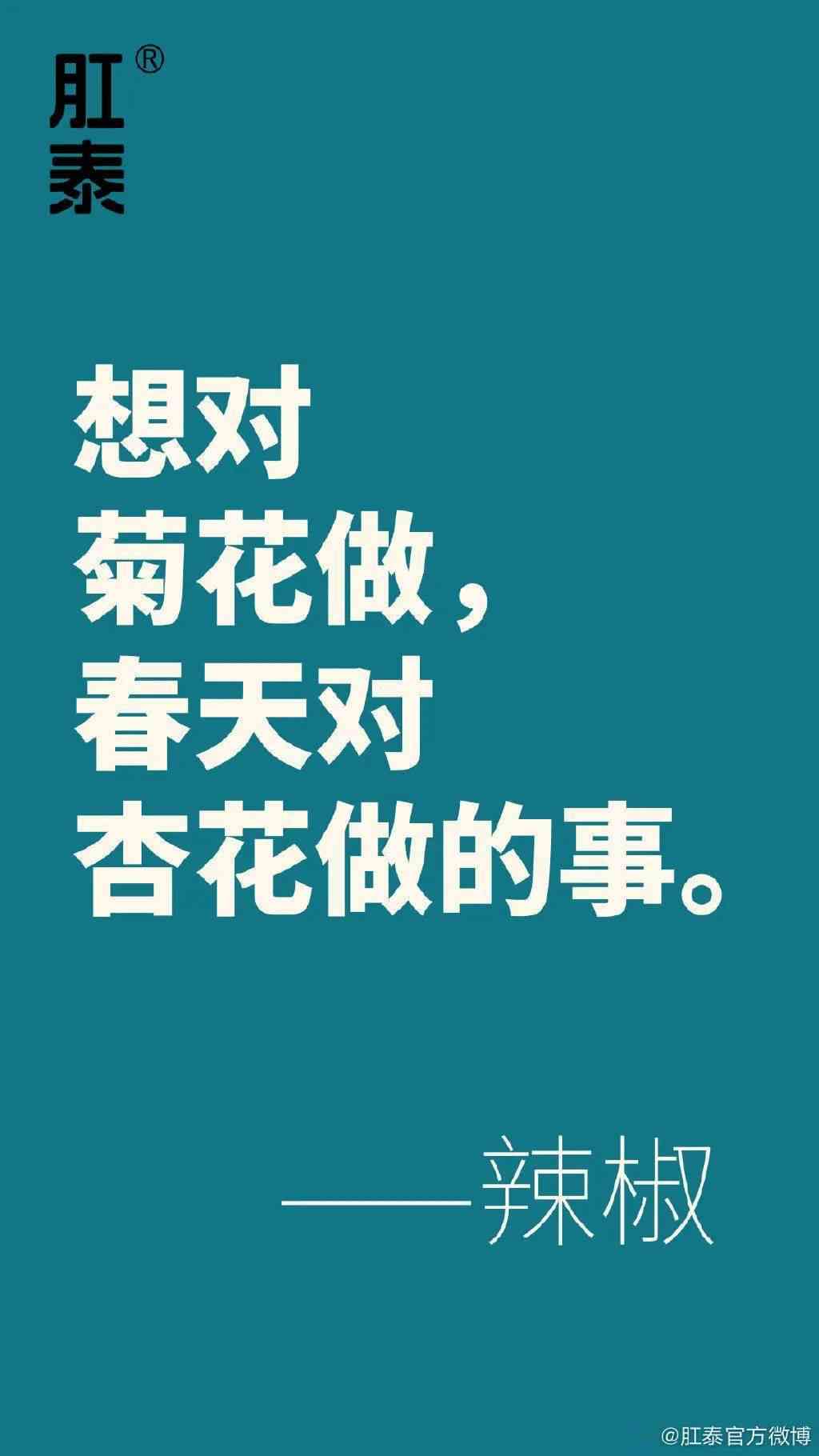 精选高级文案：小爱特辑，适用于好朋友间的馨福与深度交流