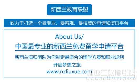 艺术创作专业研究生培养计划：课程设置、技能提升与职业发展全解析