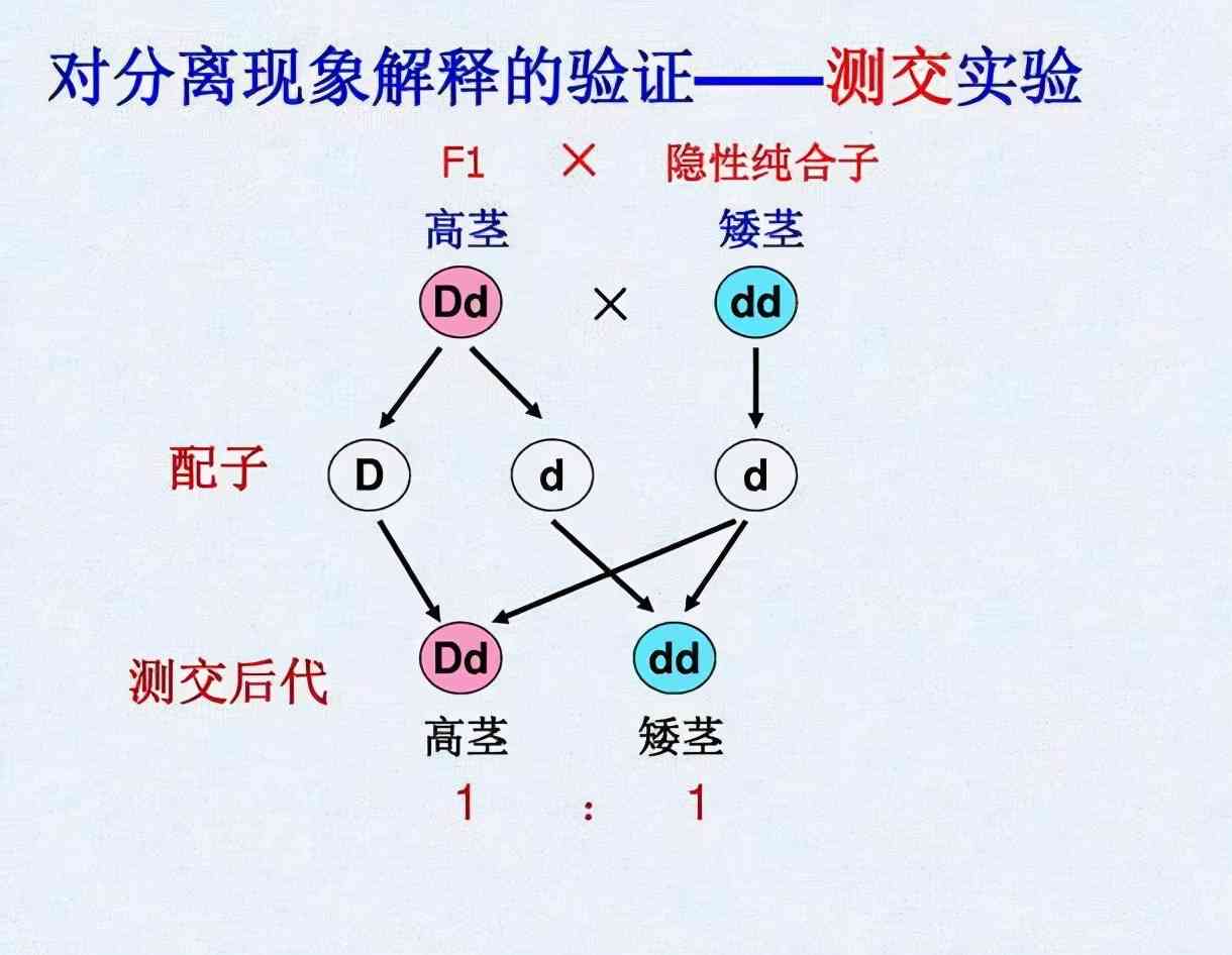 女娲创造人类及婚姻制度，塑造矩阵持续对抗敌意——解读女娲创造神话与影响