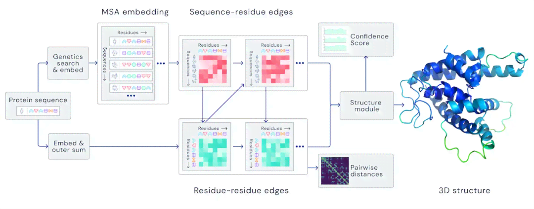 AI预测蛋白质结构：原理、准确性、治病应用与主要方法概述