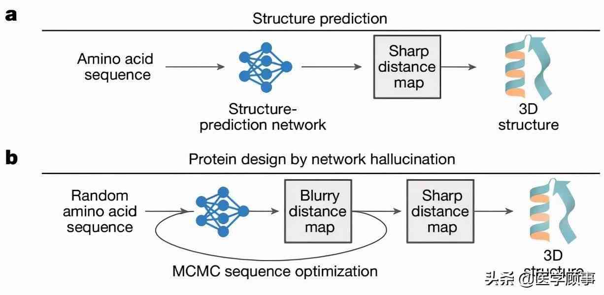 AI预测蛋白质结构：原理、准确性、治病应用与主要方法概述