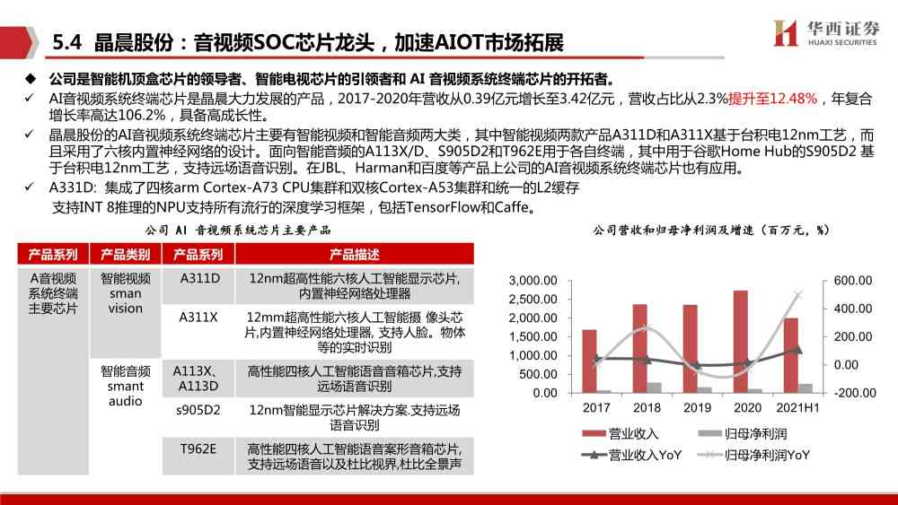 ai的验货报告