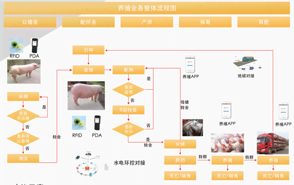 新《智能化养猪革新指南：AI养猪技术全方位解析与应用前景展望》