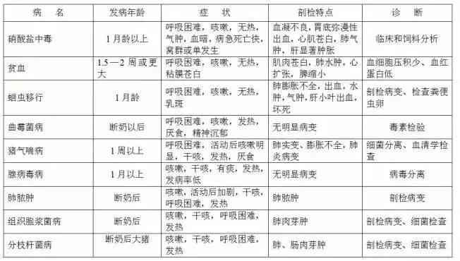 全面台酒鉴定指南：真伪鉴别、年份评估与收藏价值分析报告