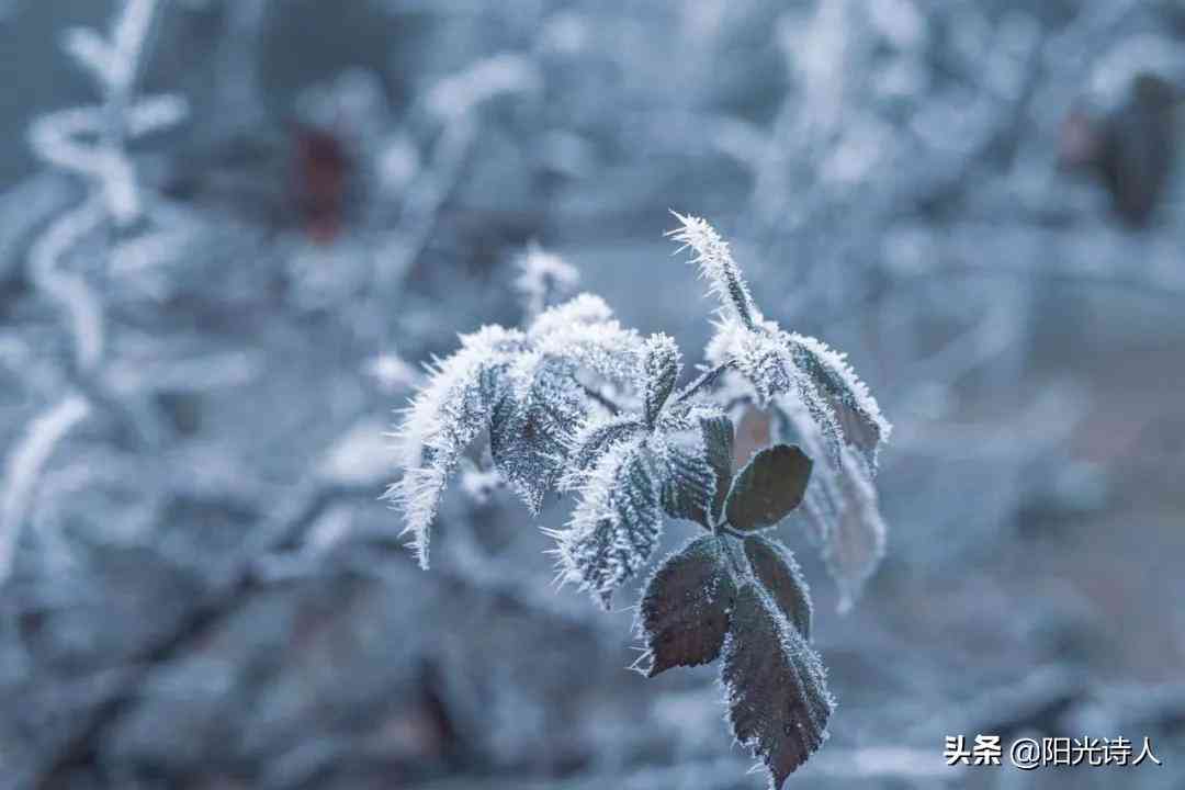 如何利用软件给自己的文章文字进行配音朗诵教程