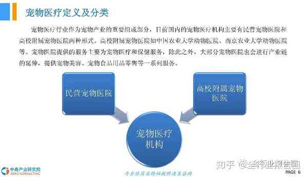 中国宠物医疗行业未来分析与市场前景研究报告