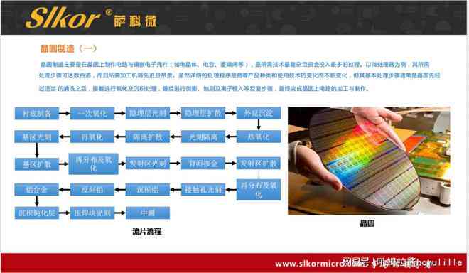 AI机器人应用与普及：全面解析市场趋势、技术优势及行业应用案例