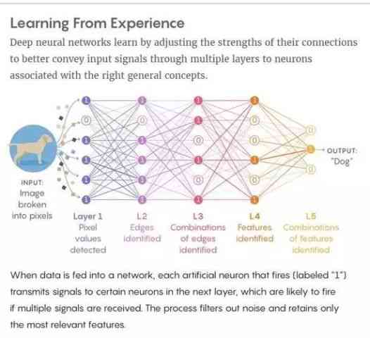 量子计算赋能：人工智能与人工子人研究中的智能算法革新