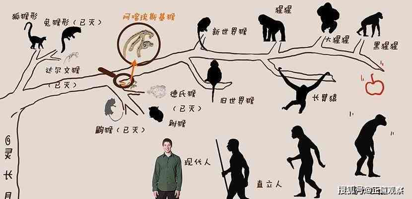 人类驯化与利用神秘生物的千年演变与影响探秘