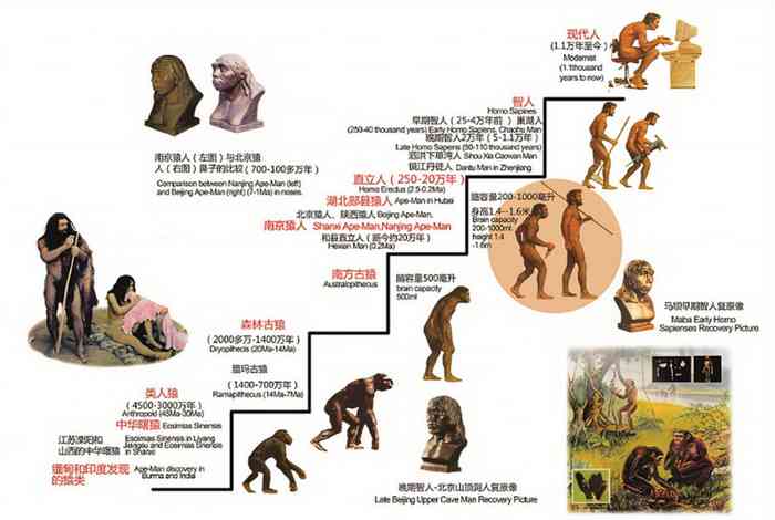 人类驯化与利用神秘生物的千年演变与影响探秘