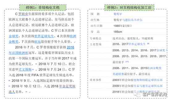 一站式参考文献管理助手：轻松解决文献整理、引用与格式化问题